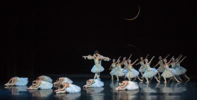 My ballets: "Swan lake"